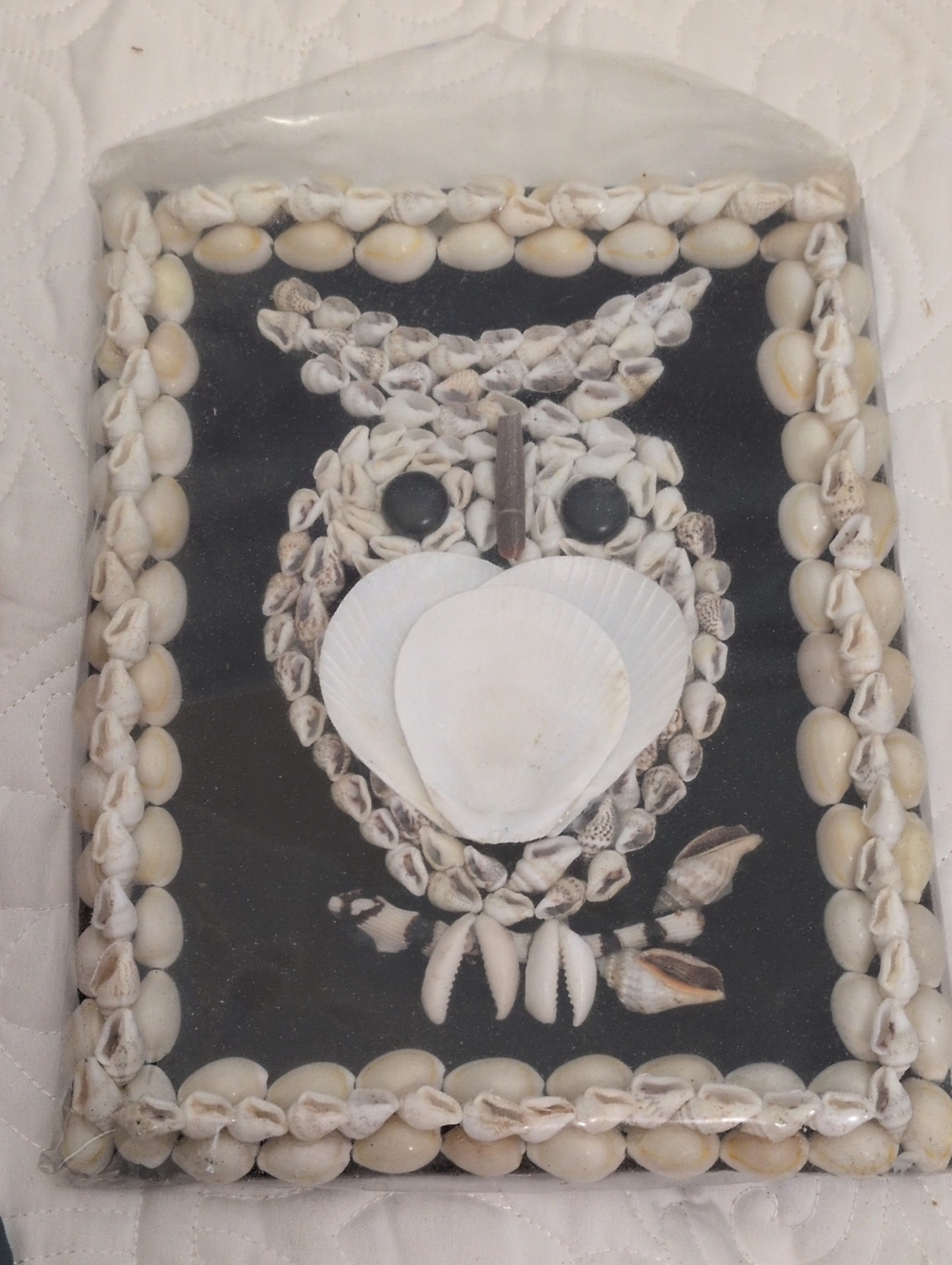 A Gift Corp. Seashell Owl Wall Hanging